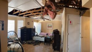 storm damage and disaster damage repair services in The Colony